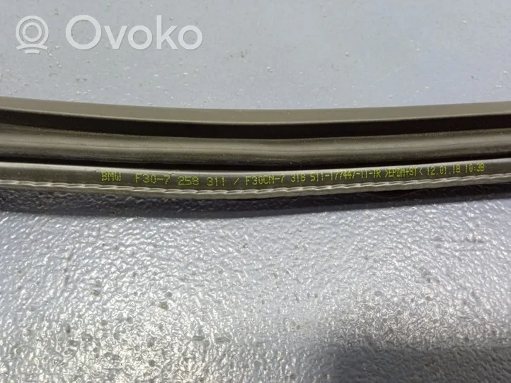 BMW 3 F30 F35 F31 Priekinė sandarinimo guma ant kėbulo 7258311