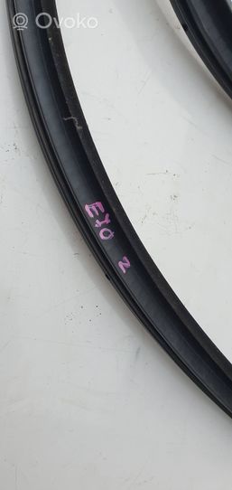 BMW X5 E70 Rubber seal rear door 10995810