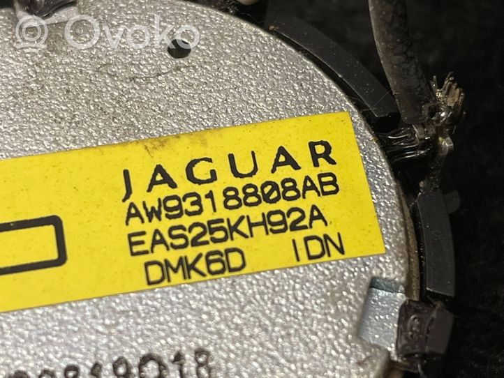 Jaguar XJ X351 Front door high frequency speaker AW9318808AB