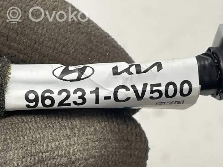 KIA EV6 Kiti laidai/ instaliacija 96231-CV500