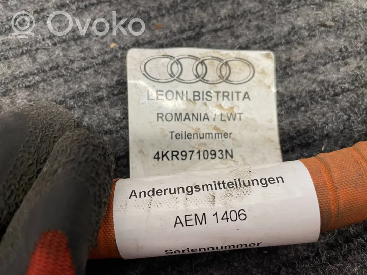 Audi e-tron Elektriskās automašīnas uzlādes ligzda 4KR971093N