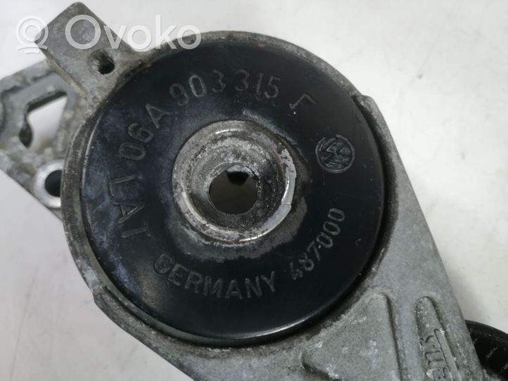 Audi A3 S3 8P Tendicinghia dell’alternatore 06A903315F