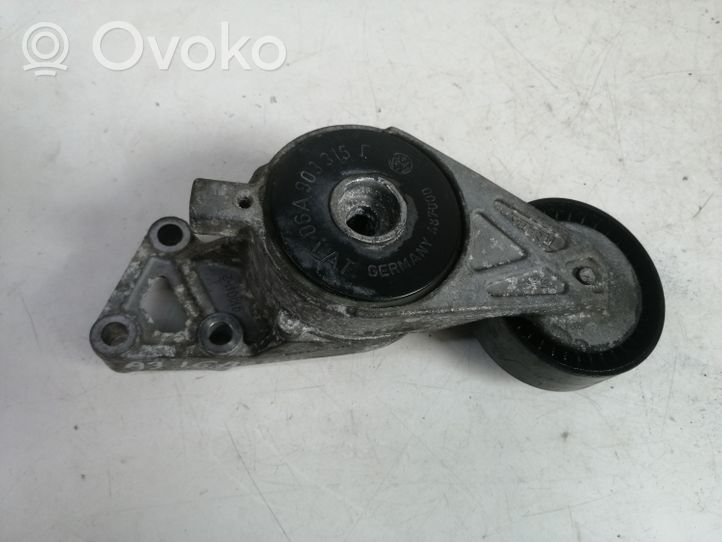 Audi A3 S3 8P Tendicinghia dell’alternatore 06A903315F