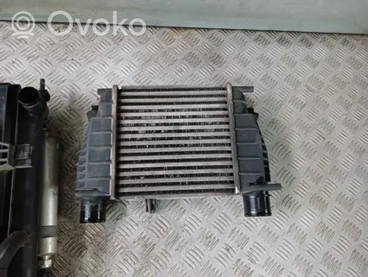 Nissan Juke I F15 Kit Radiateur 