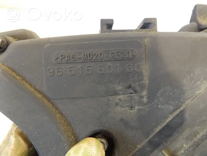 Citroen Berlingo Osłona paska / łańcucha rozrządu 9651560180