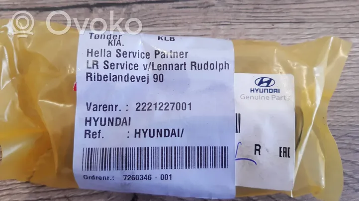 Hyundai Santa Fe Soupape 2221227001