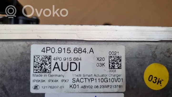 Audi e-tron Caricabatteria (opzionale) 4P0915684A