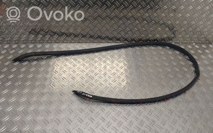 Toyota Aygo AB40 Front door rubber seal 