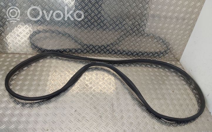 Toyota Aygo AB40 Front door rubber seal 