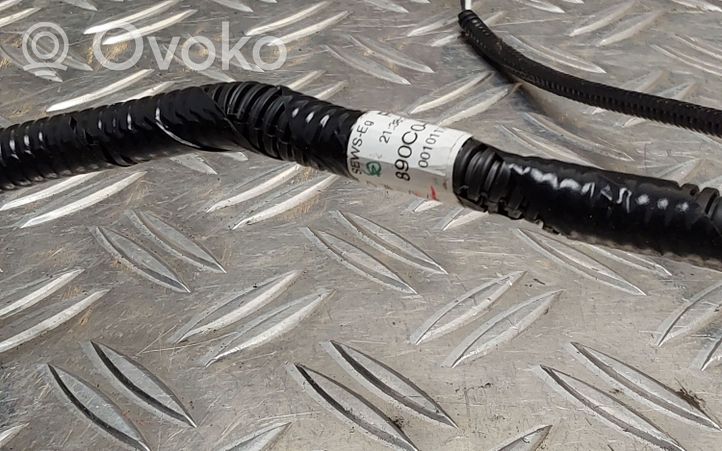 Toyota C-HR Cableado del sensor ABS trasero 890C0F4010