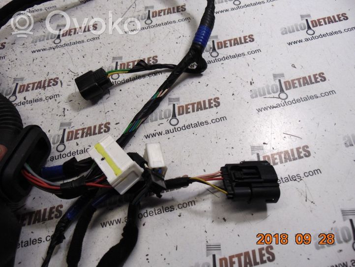 Hyundai i30 Cableado de puerta trasera 91660A6050