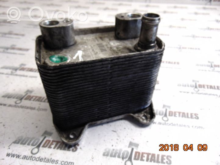 Mercedes-Benz E W210 Radiatore dell’olio del motore A6131880101