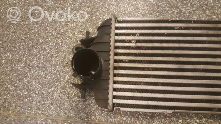 Opel Vivaro Radiatore intercooler 7700312903