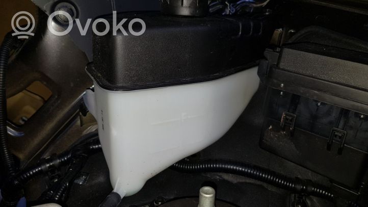 Hyundai Santa Fe Coolant expansion tank/reservoir 