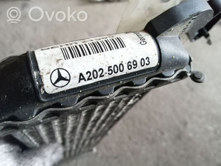 Mercedes-Benz C W202 Radiatore del carburatore (radiatore) A2025006903