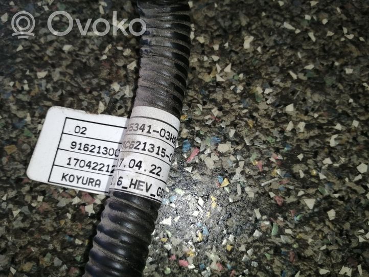 Hyundai Ioniq Cavi iniettore di carburante 3534103HA0