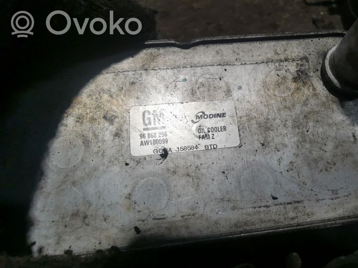 Chevrolet Captiva Öljynsuodattimen kannake 96868256