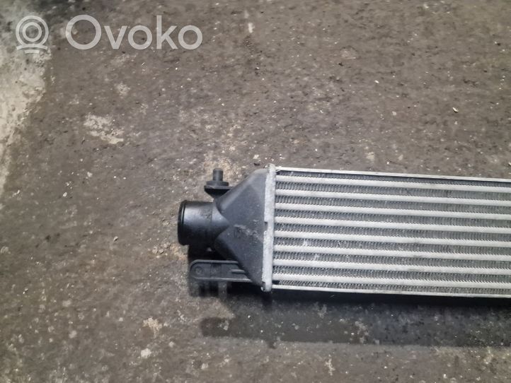 Fiat Punto (199) Chłodnica powietrza doładowującego / Intercooler 