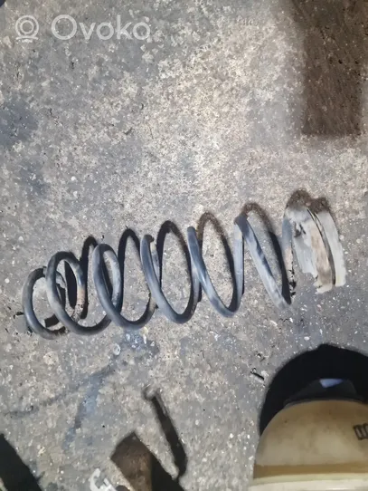 Volkswagen Bora Rear coil spring 