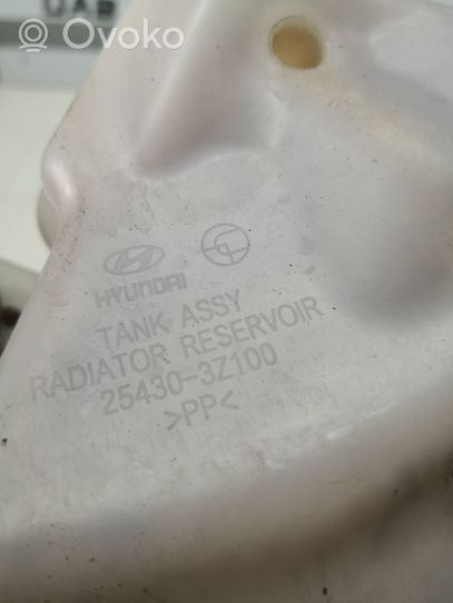 Hyundai i40 Vase d'expansion / réservoir de liquide de refroidissement 254303Z100