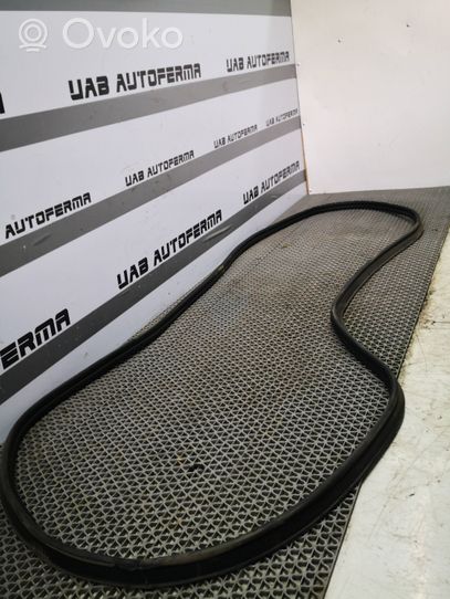 Audi Q2 - Gumowa uszczelka bagażnika tylnego / Na karoserii 81A827705
