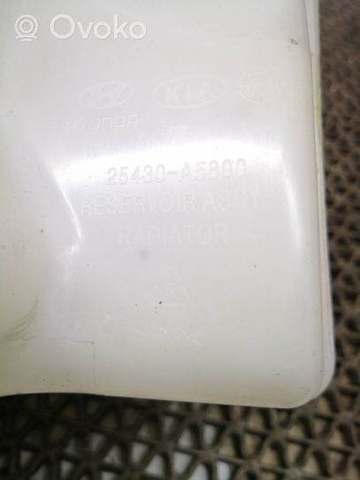 KIA Ceed Serbatoio di compensazione del liquido refrigerante/vaschetta 25430A5800