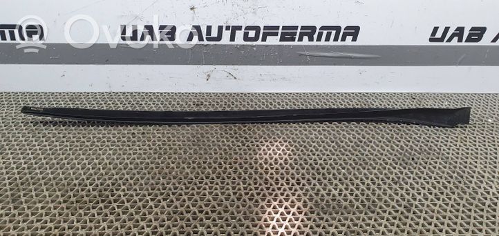 Seat Ibiza IV (6J,6P) Rivestimento modanatura del vetro della portiera anteriore 6J0854320