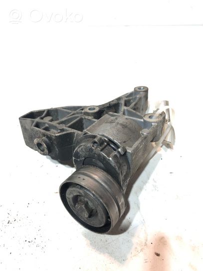 Volkswagen Eos Generator/alternator belt tensioner 03C903143B