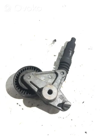 Audi Q7 4L Tendicinghia generatore/alternatore 059145201F