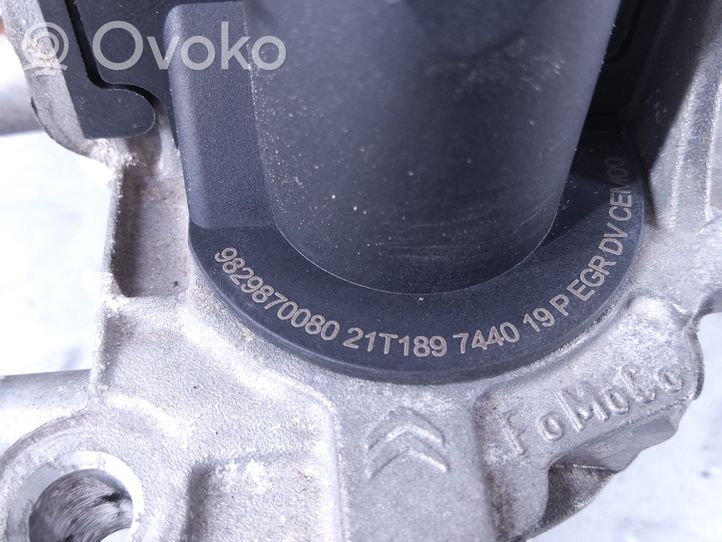 Toyota ProAce City EGR-venttiili 9829870080