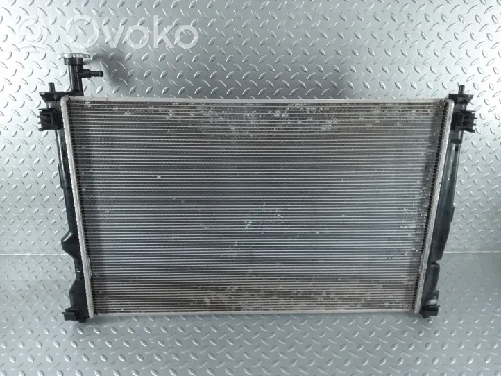 Toyota RAV 4 (XA50) Radiateur de refroidissement 1220500400