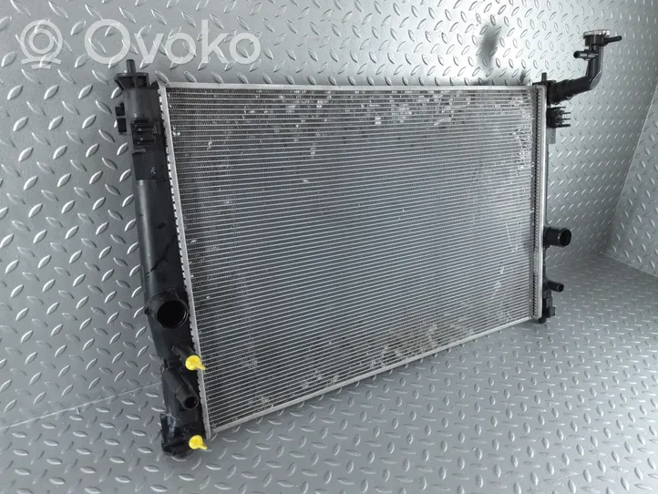 Toyota RAV 4 (XA50) Radiateur de refroidissement 1220500400