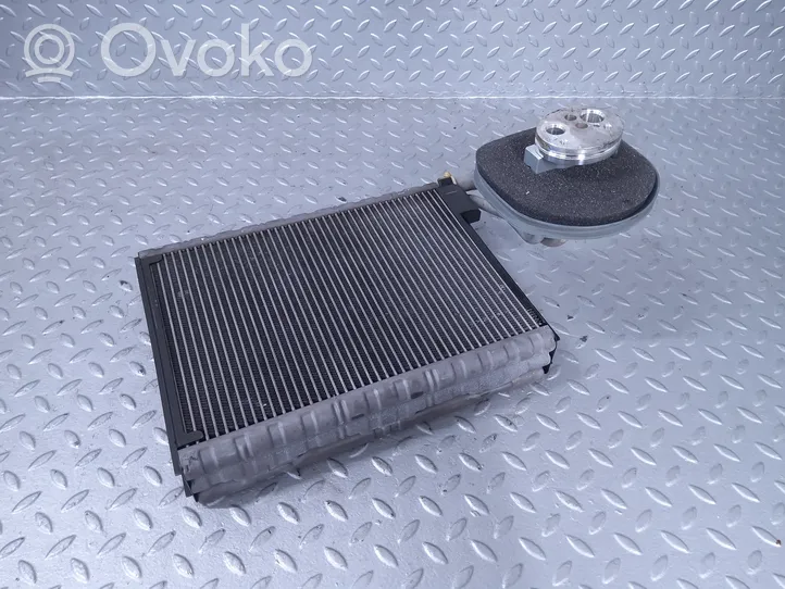 BMW 5 F10 F11 Air conditioning (A/C) radiator (interior) QA1024757