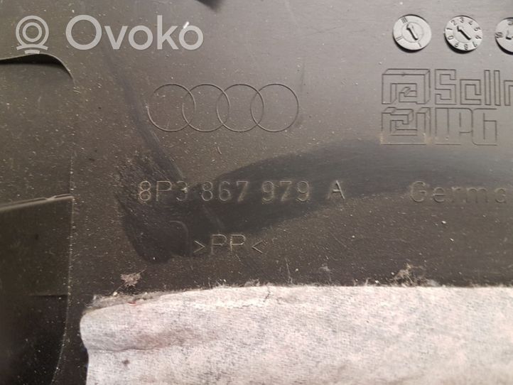 Audi A3 S3 8P Apdaila bagažinės dangčio (komplektas) 8P3867979A