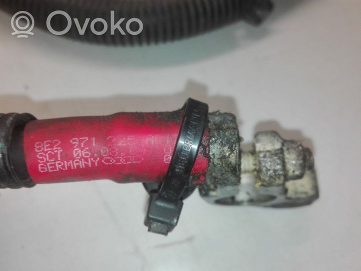 Audi A4 S4 B7 8E 8H Cavo positivo (batteria) 8E2971225AD