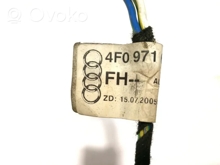 Audi A6 S6 C6 4F Cablaggio porta anteriore 4F0971687