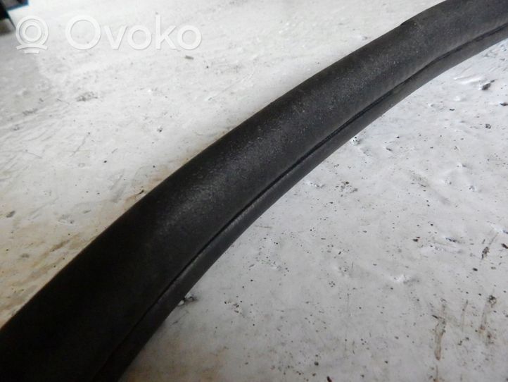 Mitsubishi Outlander Front door rubber seal 