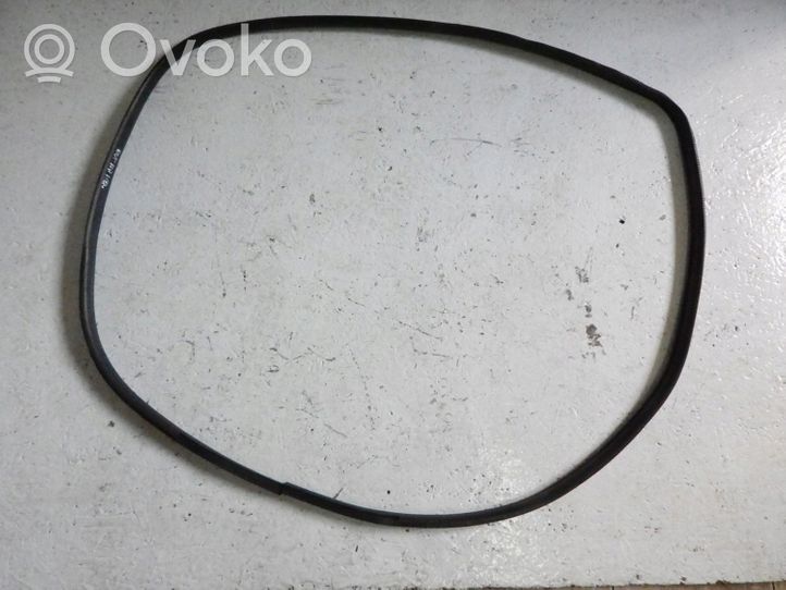 Mitsubishi Outlander Front door rubber seal 