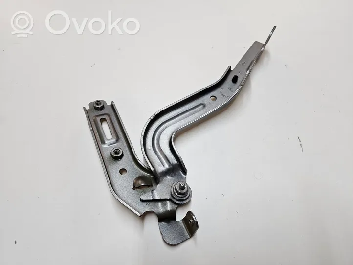 Chrysler Pacifica Engine bonnet/hood hinges VR022