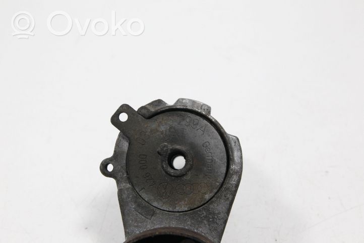 Seat Leon (1M) Tendicinghia generatore/alternatore 032145299A