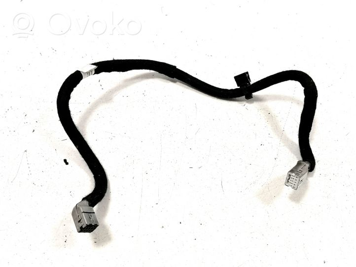 Citroen C5 Äänijärjestelmän johdot 016700441C