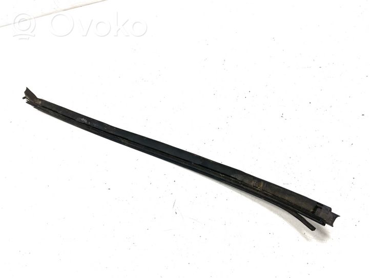 Mercedes-Benz E W210 Windshield trim 418106