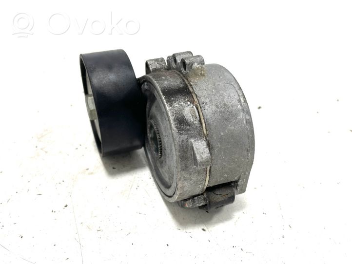 Citroen C-Crosser Tendicinghia generatore/alternatore 16183P