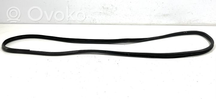 KIA Sorento Rear door rubber seal (on body) 