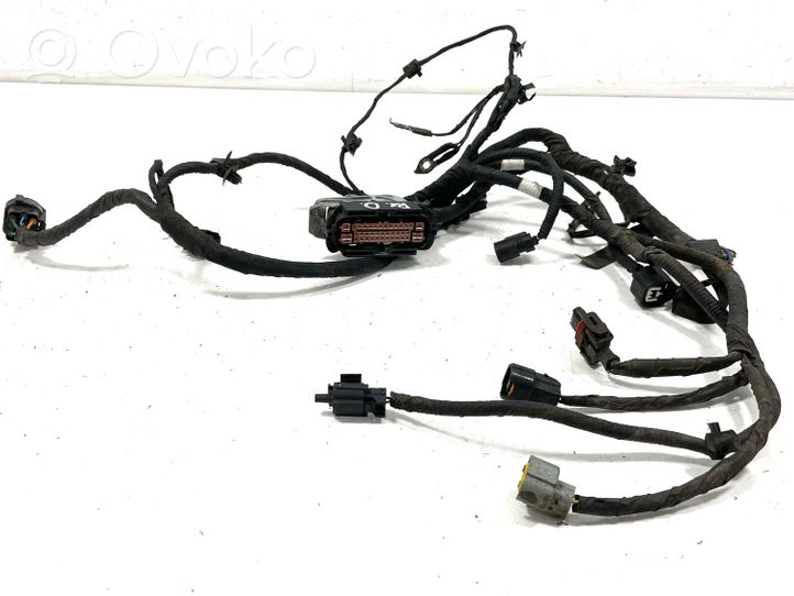 Hyundai ix20 Cableado de puerta delantera 13598002