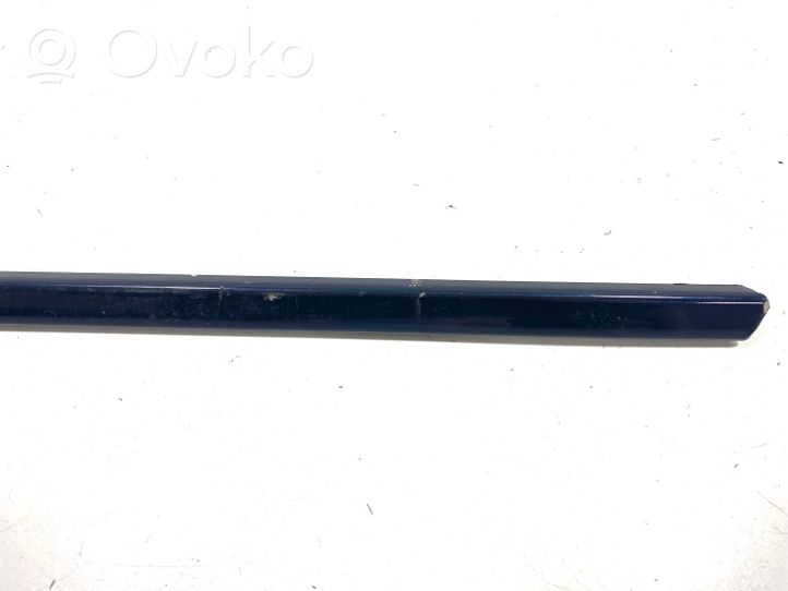 BMW X5 E70 Front door trim (molding) 