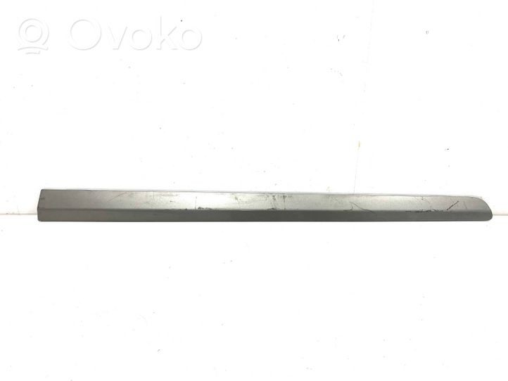 Mercedes-Benz B W245 Front door trim (molding) A1696981962