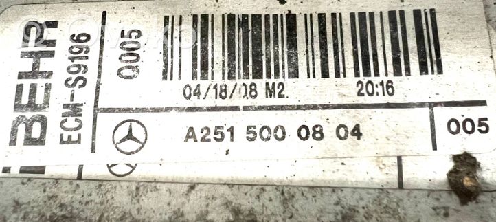 Mercedes-Benz R W251 Jäähdyttimen lauhdutin A2515000804
