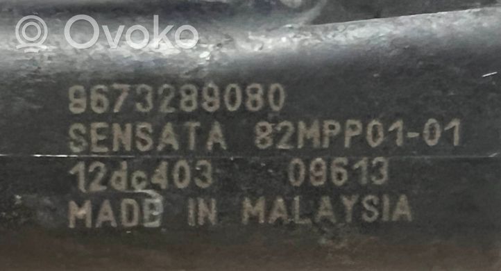 Citroen C3 Sensor 9673289080