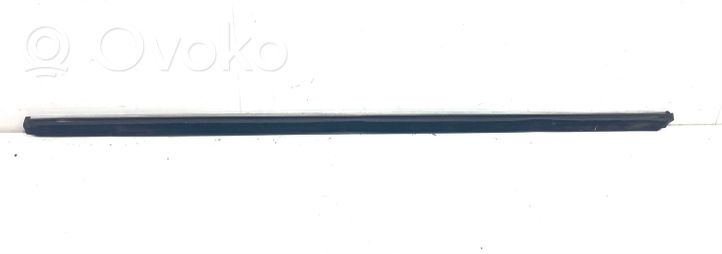 Citroen C6 Rear door glass trim molding 